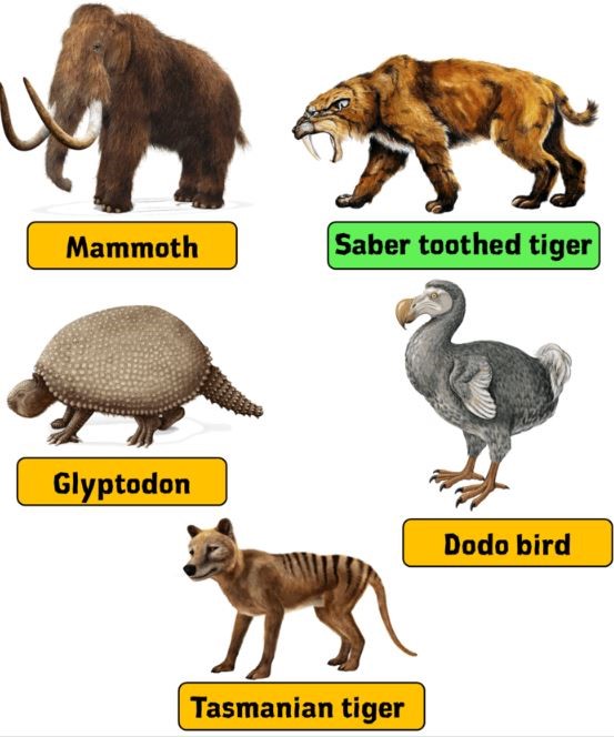 Extinct Animals